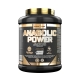 ANABOLIC POWER 2KG